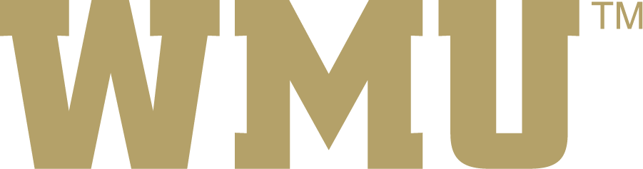 Western Michigan Broncos 2016-2021 Wordmark Logo iron on transfers for clothing
